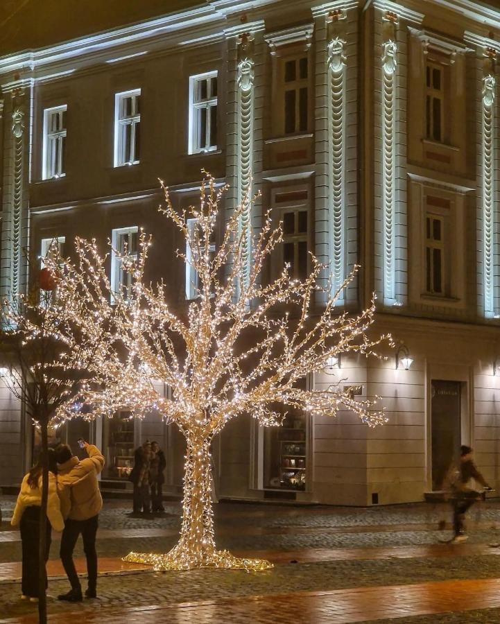 Central Luxury Home Timişoara Eksteriør billede