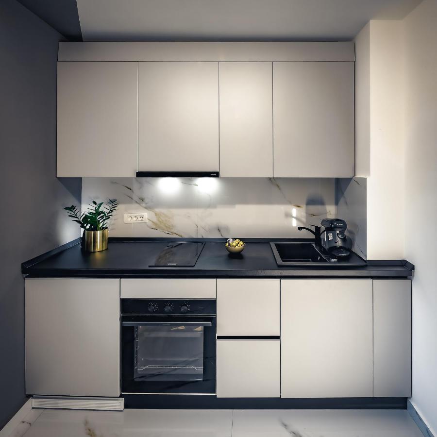 Central Luxury Home Timişoara Eksteriør billede
